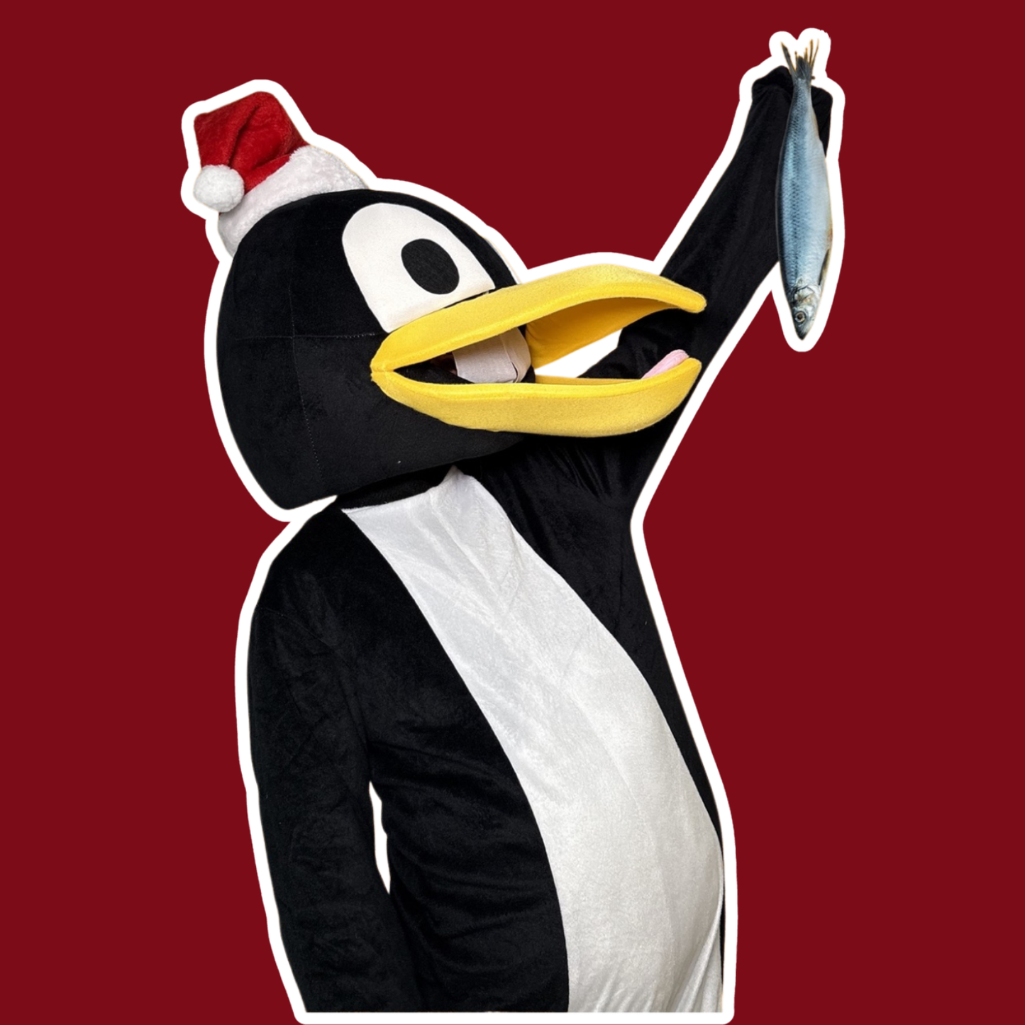 Lunchen met de pinguins