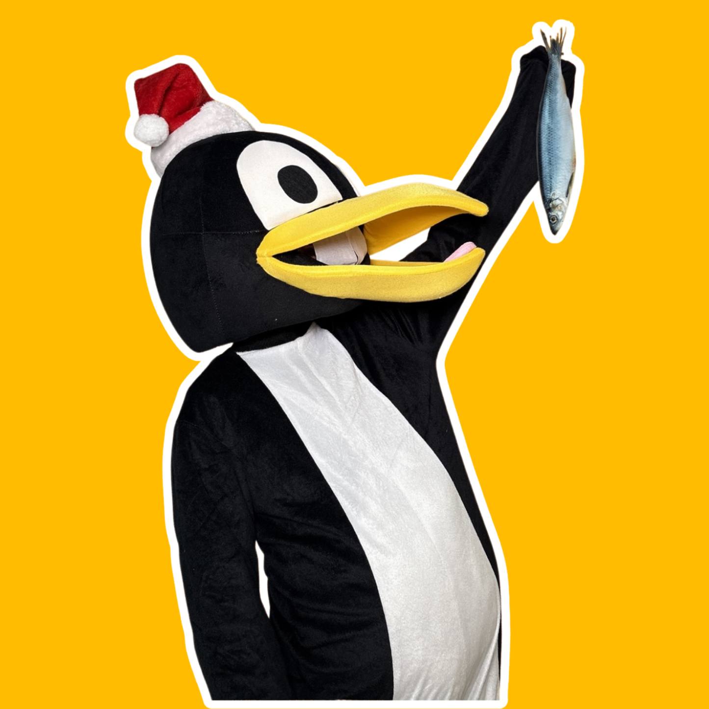 Lunchen met de pinguins